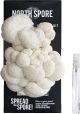 Organic Lion's Mane ‘Spray & Grow’ Mushroom Growing Kit